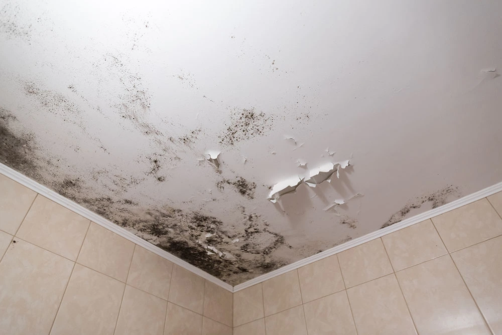 mold on bathroom ceiling