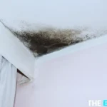 mold on bathroom ceiling