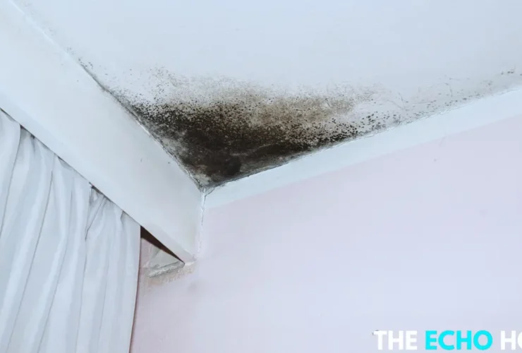 mold on bathroom ceiling